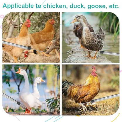 Chicken Catcher, Adjustable from 29" to 74" Chicken Net,Chicken Leg Hook | Animal Net Suitable for Catching Outdoor Animals such as Chickens, Ducks, Fishnet ,Geese ,Birds (15.3 x 23.2 inch net)