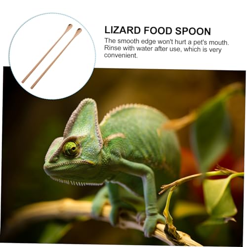 Toddmomy 2pcs Reptile Feeding Spoon Lizard Gecko Pet Feeder Tool Small Animal Food Scoop - color: Rose Gold
