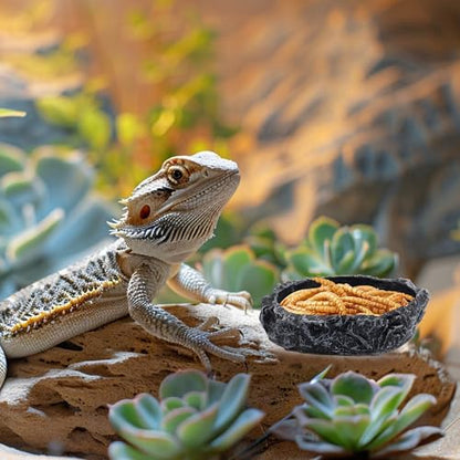3 Pack Reptile Water Dish, Samll Snake Water Bowl, Bearded Dragon Food Dish | Leopard Crested Gecko Tank Accessories, Feeding Dish Kit for Tortoise, Lizard, Frog, Hermit Crab