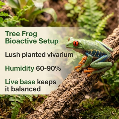 Tree Frog Bioactive Kit - 17qt Premium Bioactive Substrate + 2qt Leaf Litter + 4qt Sphagnum + Charcoal Iso-Flats Hide + 3oz Calcium + 25 Powder Orange Isopods + 8oz Tropical Springtails