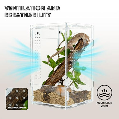 5x5x8 Acrylic Reptile Enclosure - Clear Small Pet Terrarium | Distortion-free all-acrylic build with top and side ventilation for clear observation - size: 5"5"8"