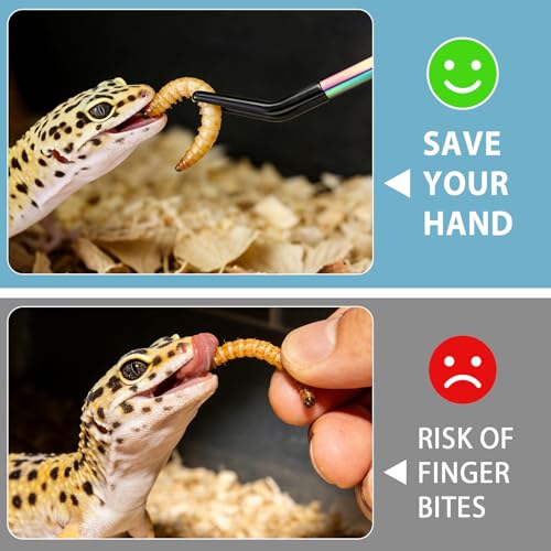 Harhana Stainless Steel Feeding Tongs with Magnet Storage, Precision Long Tweezers for Reptiles, Aquariums, and Terrariums, Rubber Tips for Safe Handling, Convenient Magnet for Easy Storage