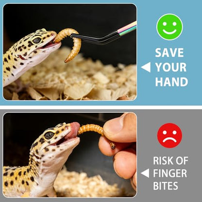 Harhana Stainless Steel Feeding Tongs with Magnet Storage, Precision Long Tweezers for Reptiles, Aquariums, and Terrariums, Rubber Tips for Safe Handling, Convenient Magnet for Easy Storage