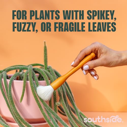 Southside Plant Cactus & Succulent Plants Cleaning Brushes - Wooden Handles w/Soft Goat Hair Bristles - Garden Cleaning Tools, Gentle on Plants, 7" & 3.2" Sizes - Pack of 2