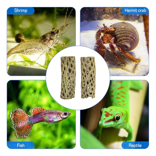 kathson Resin Cholla Wood Aquarium Shrimp Hideout Fake Fish Tank Hollow Log Hideawy Reptile Climbing Corner Branch Hermit Crab Terrarium Ornament Decoration (2 Packs)