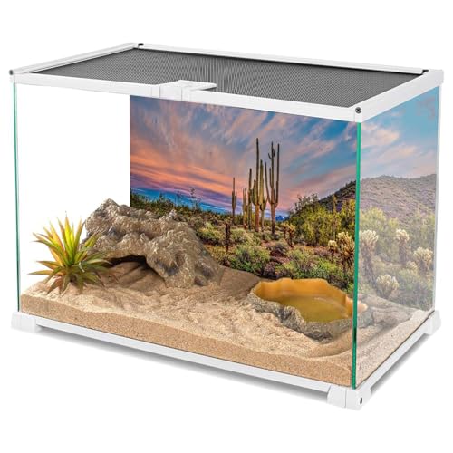 AWERT 24x16 inches Terrarium Background Blue Sky Cloud Huge Cactus Oasis Gobi Reptile Habitat Background Vinyl - size: 24x16in/60x40cm
