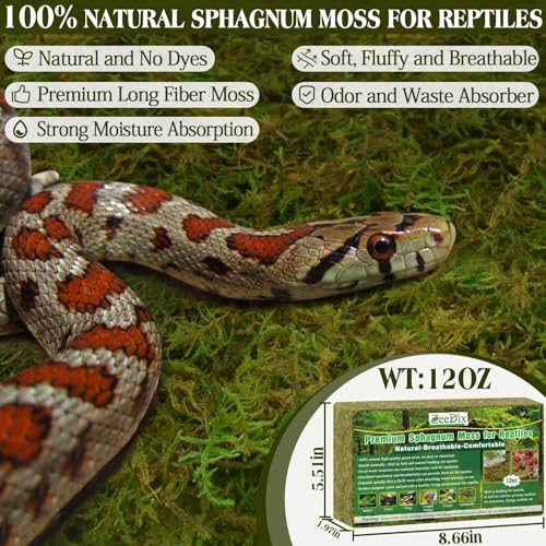 0.75 lb Sphagnum Moss for Reptiles | 20 qt Reptile Bedding substrate Tank Accessories Terrarium Moss, Green Forest Moss for Leopards Geckos Snakes Turtles Frogs - color: 12oz
