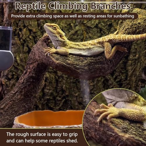 BNOSDM 2PCS Natural Reptile Climbing Branches Decor,1.8-2.2" Thick 15.7in Snake Climbing Forest Wood with Plant Leaf Decor,Lizard Forest Branch,Geckos Tank Tree Trunk Accessories for Bearded Dragons - size: 2PCS|L:1.75-2.25"D,15.7"L