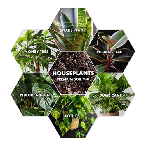 Agralife Houseplant Soil 4 Quarts Premium Organic Mix for Indoor Plants | Balanced moisture. Healthy growth. Premium organic soil supports monstera, pothos, snake plants, and more. - style: House Plant Soil Mix
