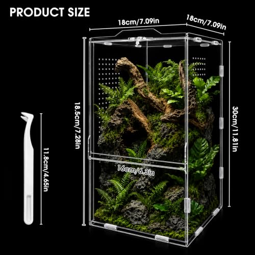 Jumping Spider Enclosure, Insect Terrarium, Bug Cage, Acrylic Terrarium for Tarantula, Snail, Praying Mantis, Frog, and Small Reptiles (6.5" x 6.5" x 11.8") - size: 6.5" x 6.5" x 11.8"