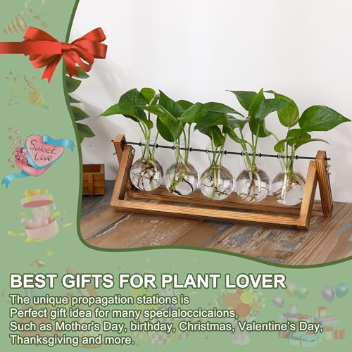 YIBOT Plant Propagation Stations with Wooden Stand & 5 Glass Bulb Vases | Tabletop Plant Terrarium for Propagating Hydroponic, Retro Glass Planter Flower Vase Home Kitchen Office Decor Gifts - size: 5Bulb-A