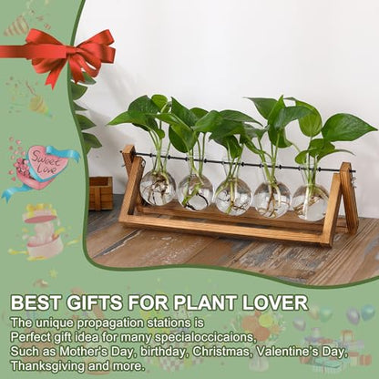 YIBOT Plant Propagation Stations with Wooden Stand & 5 Glass Bulb Vases | Tabletop Plant Terrarium for Propagating Hydroponic, Retro Glass Planter Flower Vase Home Kitchen Office Decor Gifts - size: 5Bulb-A