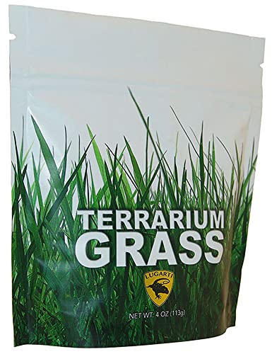 Lugarti Terrarium Grass - 4 oz