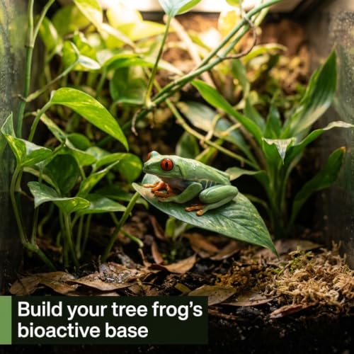 Tree Frog Bioactive Kit - 17qt Premium Bioactive Substrate + 2qt Leaf Litter + 4qt Sphagnum + Charcoal Iso-Flats Hide + 3oz Calcium + 25 Powder Orange Isopods + 8oz Tropical Springtails