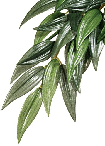 Exo Terra Silk Terrarium Plant, Medium, Ruscus - color: Green, size: Medium