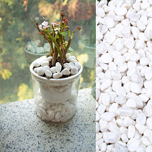 White Pebbles for Plants Garden 18 lb White Rocks Gravel Decorative Stones Landscaping Vase Fillers 1/2" - size: 18LB, style: White