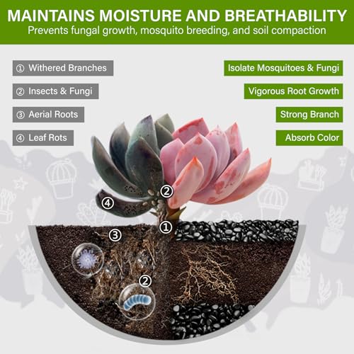 NUPICK 3lb River Rocks for Plants Indoor, Black Pebbles for Vases Fillers | 3/8 Inch Decorative Pea Gravel for Fish Tank, Natural Polished Stones for Succulent, Bonsai, Landscaping, Bird Baths - color: Black, size: 3Lb