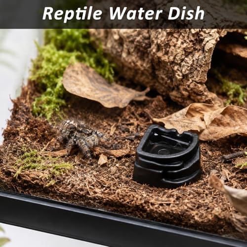 6 Pcs Spider Micro Water Bowls, Mini Resin Dish for Tarantula, Spider, Millipede and Tiny Reptiles, Food/Water Dish for Enclosure Accessories (Small: 1.01" D, 0.39" H) - size: Small- 6pack
