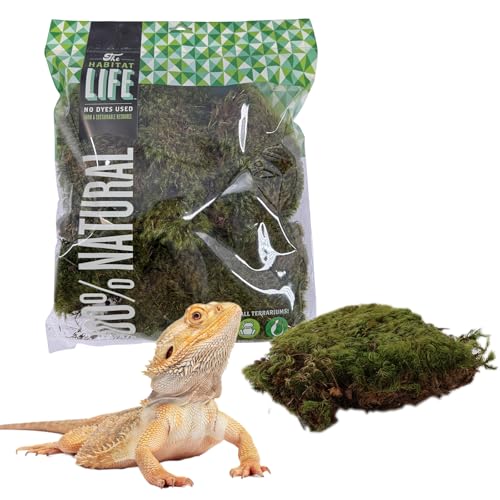 Mood Moss for Terrarium Habitats, Medium 1-Pack | Preserved Moss for Reptiles, Amphibians & Invertebrates Terrariums, Humidity Control, Soft, Dye-Free, Family Owned, USA Made - size: Medium 1-pack, style: Mood Moss