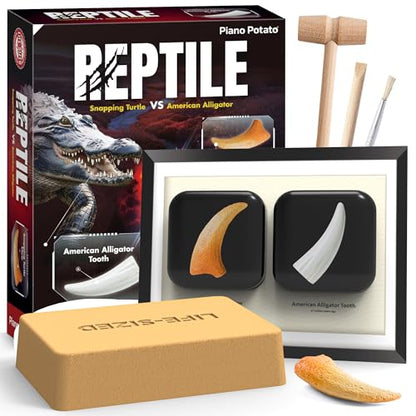 Reptile Dig Kit for Kids – Excavate Life-Sized American Alligator Tooth & Snapping Turtle Claw – STEM Science Educational Toy, Paleontology Activity Set with Display Frame, Ages 6+ - size: Alligator Tooth & Snapping Turtle Claw