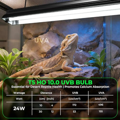 GlowUp 22 Inch T5 HO 10.0 24W Bearded Dragon UVB Light Bulb, UVA UVB Reptiles Light Bar Tube Lamp, UVB Reptile Light Bulb for Leopard Gecko Tortoise Chameleon Tropical Desert Reptile Terrarium -2Pack