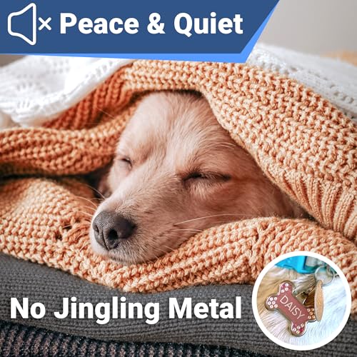GoTags Silent Personalized Engraved Pet ID Dog and Cat Tag, Jingle Free | Quiet Custom Slide On Steel Nameplate with Elastic, Up to 4 Lines of Custom Text Name and Number (Gold, Large) - color: Gold, size: Large (Pack of 1)