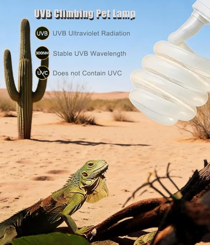 2-Pack E26 Reptile UVB Light Bulb 26W UVA UVB 10.0 | Compact Fluorescent Lamp for Desert Reptiles Bearded Dragon, Tortoise, Lizard Vivarium Kit - size: 26W UVB 10.0