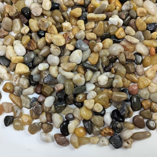 FANTIAN Pea Gravel for Fish Tank,5 lbs Polished Pebble for Plants, 1/4 Inch | Fish Tank Gravel,Decorative Stones River Rocks for Succulent Soil Cover, Cactus, Aquarium, Vase, Outdoor Garden Landscaping - size: 5 pounds, style: Natural