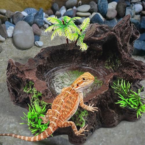 kathson Resin Reptile Bowl Bearded Dragon Food Dish Lizard Water Dish Reptiles Feeding Bowls with Feeder Tweezer for Leopard Gecko Tortoise Chameleon Water Frog Hermit Crab