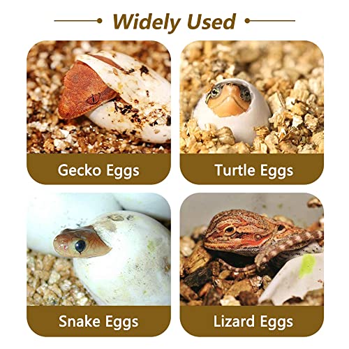 16-Grid Reptile Breeding Box - Professional Plastic Incubator for Gecko, Lizard & Mane Hatching