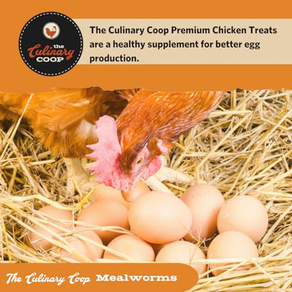 Fluker's Culinary Coop Premium Chicken Treats, Mealworms 3.5 oz, High Protein Worm, Nutritious Treat - size: 3.5 Ounce (Pack of 1)