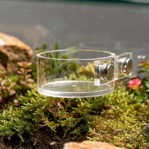 Jumping Spider Feeding Dish Set, Magnetic Water Bowl Dispenser Feeding Food Dish with Reptile Tweezers Jumping Spider Enclosure Accessories Kit for Tarantula Mantis Small Reptiles Pets