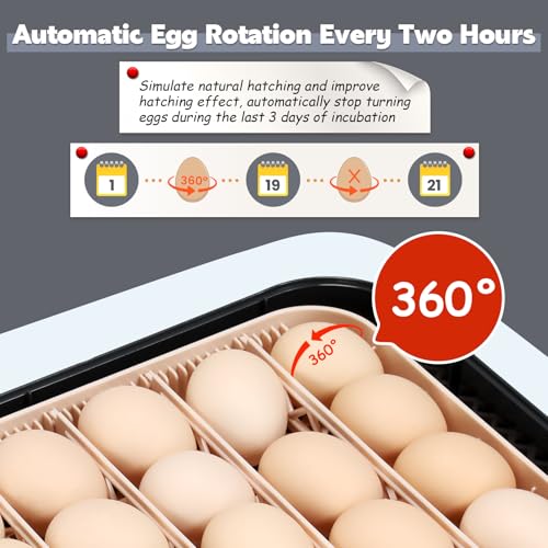 Sailnovo 56 Egg Incubator for Hatching Eggs with Automatic Egg Turning Gray | Auto Humidification, Stable Temperature Control, Built-in Candler, View Window, Alert System for Lab School Farm - color: Gray