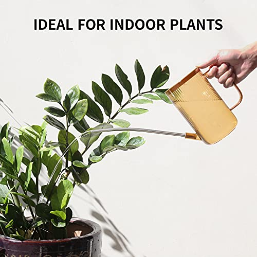 Watering Can Indoor Plants, ONEDONE Watering Can Long Spout Small Watering Can 34 oz, Plant Watering Can for Indoor Plants House Plants Garden Flowers w/Spray Bottle, Squeeze Bottle (Amber) - color: Amber