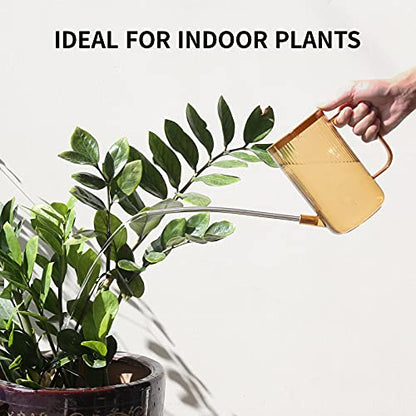 Watering Can Indoor Plants, ONEDONE Watering Can Long Spout Small Watering Can 34 oz, Plant Watering Can for Indoor Plants House Plants Garden Flowers w/Spray Bottle, Squeeze Bottle (Amber) - color: Amber