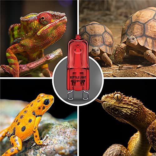 G9 Infrared Heat Lamp Bulbs for Reptile Mini Reptile Light Red | 2 Pack Dimmable Night Red UVA Reptile Heat Lamp, 2 Pin Base Mini Heat Bulbs 50W, Bearded Dragon Turtle Lizard - color: Red, size: G9 Heat Bulb