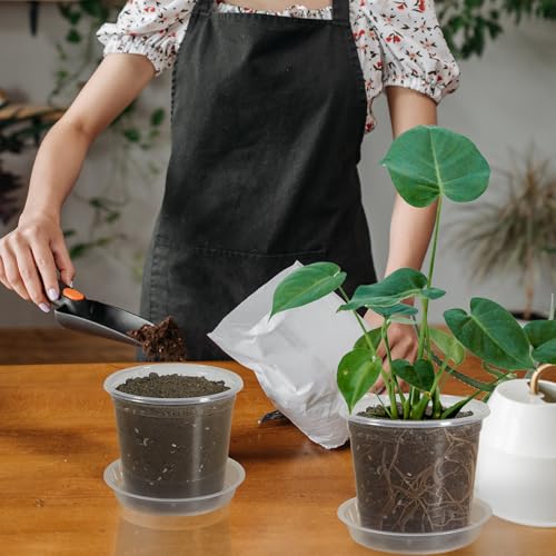 20 Pack 3 Inch Clear Nursery Pots with Drainage and 20 Pack Plant Saucers, Plant Pots for Plants Transparent Potting Containers for Plants Seeding Starter Pot (Clear, 3 Inch) - size: 3 Inch