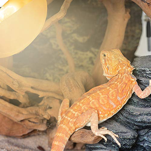 REPTI ZOO 125W Reptile Heat Lamp - Full Spectrum UVA UVB Sun Lamp - Self-Ballasted Vapor Basking Spot Lamp/Bulb/Light for Reptiles and Amphibians - style: 125W