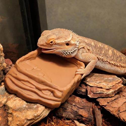 2 Pack Reptile Water Bowls, Rock Reptile Food Dish, Plastic Terrarium Feeding Bowl for Bearded Dragon Leopard Gecko Lizard Turtle Frog Snake Small Pets (Brown and Yellow)