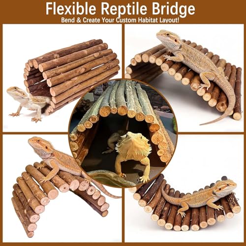 BNOSDM 18.89"x 12.99" Reptile Hideout Wooden Bridge Lizard Hide Caves Bearded Dragon Habitat Accessories for Gecko Snake Frog Chameleon Iguana Tortoise