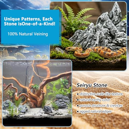 3 LB Aquarium Rocks Stones, 2-6 inches Natural Seiryu Stone, Fish Tank Decor Rocks for Fish Tank Landscaping, Bonsai, Gardens, Reptile Terrariums Paludarium Amphibian Enclosures Aquarium Decor