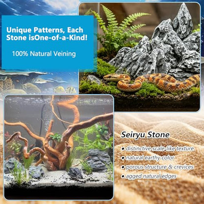 3 LB Aquarium Rocks Stones, 2-6 inches Natural Seiryu Stone, Fish Tank Decor Rocks for Fish Tank Landscaping, Bonsai, Gardens, Reptile Terrariums Paludarium Amphibian Enclosures Aquarium Decor