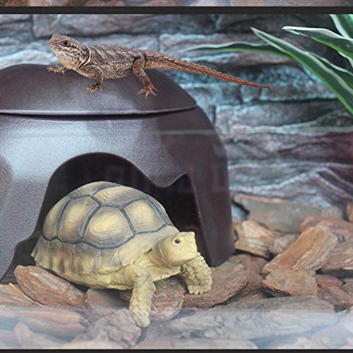 Reptile Hideout Cave Box with 2 Ceramic Sinks Fit for Snakes Lizards Chameleons Tree Frogs Geckos Small Tortoises and Other Small Reptiles (Coffee) - color: Coffee