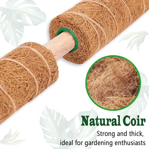 2 Pack 17 Inch Moss Pole, Stackable Moss Poles for Climbing Plants Monstera, Tall Plant Sticks Accessories, Large Coir Plant Support Stakes for Potted Plants Indoor, Pothos, Philodendron - size: 2 pack 17in