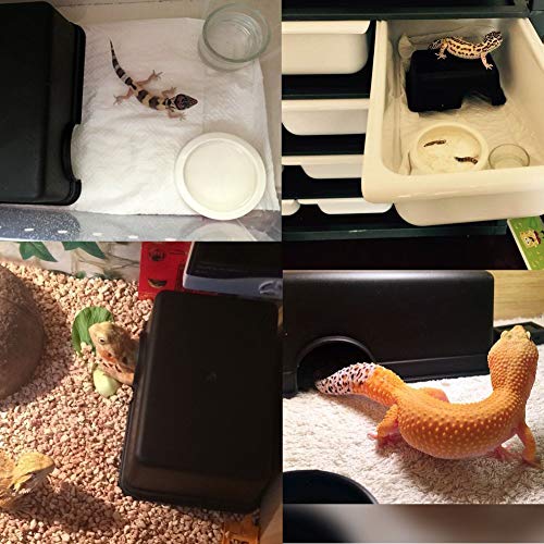 Reptile Hideout Box Small Animal Hide Cave for Snakes Lizards Leopard Gecko Rodents Spiders (M) - size: M