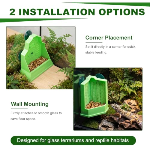 Reptile Feeder Combo Set, 2 Pack Escape-Proof Corner & Wall-Mounted Bowls with 2 Pack 10.6" Stainless Steel Straight & Curved Tongs with Rubber Tips for Bearded Dragon Gecko Lizard Frog