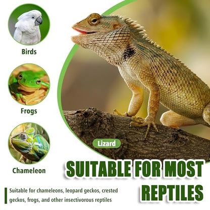 Chameleon Feeder with Suction Cups, Green Bearded Dragon Food Bowl | Wall Mount Insect Feeding Box for Reptile, Corner Hunting Bowl for Frogs Geckos, Tank Accessories