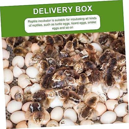 TOYANDONA 2pcs Reptile Egg Incubator Hatchery Box for Lizards Pigeon Eggs Easy to Clean Transparent Design for Observation Reusable Reptile Tool