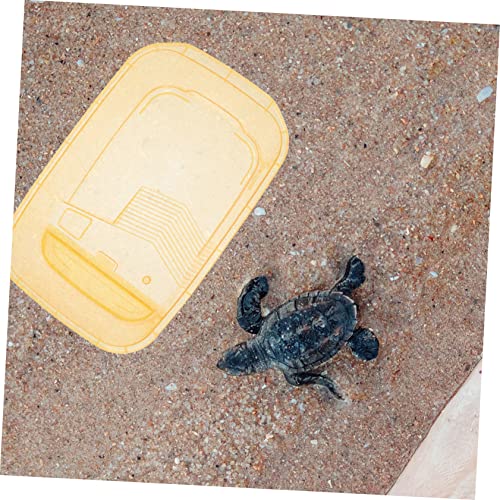 Generic 2pcs Turtle Feeding Box Terrarium Reptile Turtle Tank Reptile Habitat with Platform Pond Betta Fish Tank Water Bowl Hermit Crab Habitat Aquarium Sponge s Plastic