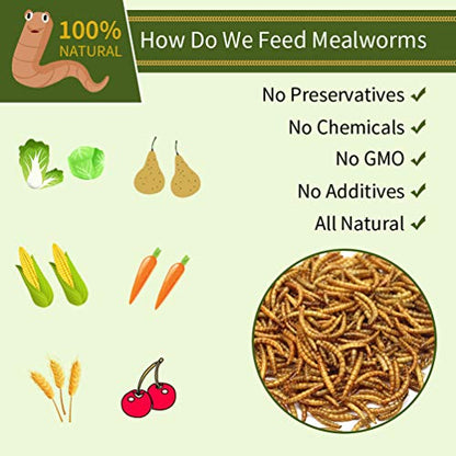 DIIG 10LB 100% Natural Non GMO Dried Mealworms - High Protein Treats for Birds Chickens, Ducks - size: 10 Pound (Pack of 1)